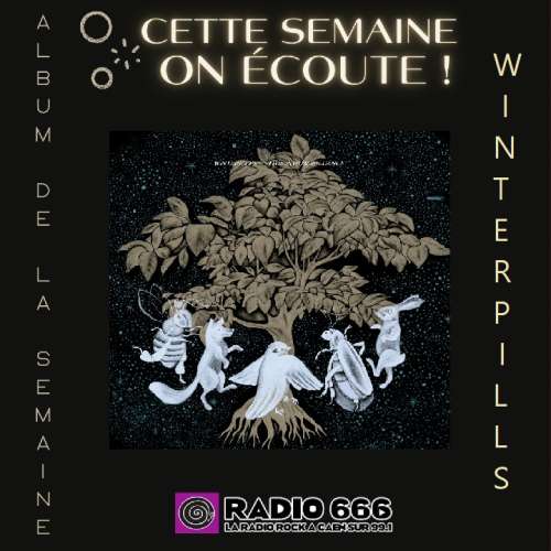 Fond ADLS Winterpills 2025